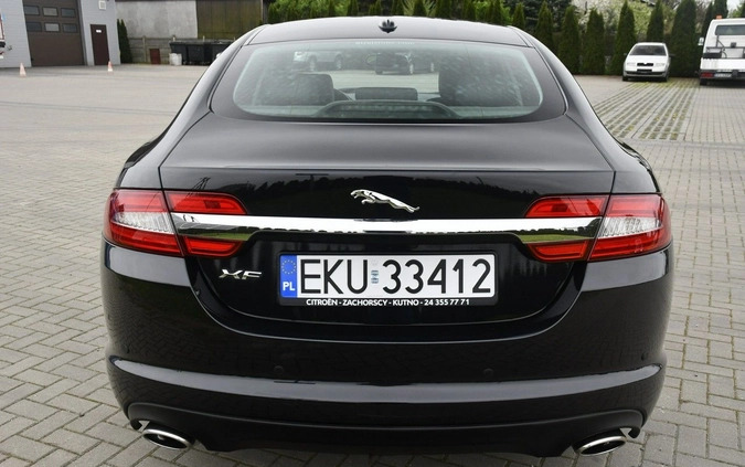 Jaguar XF cena 49900 przebieg: 214000, rok produkcji 2011 z Nałęczów małe 667